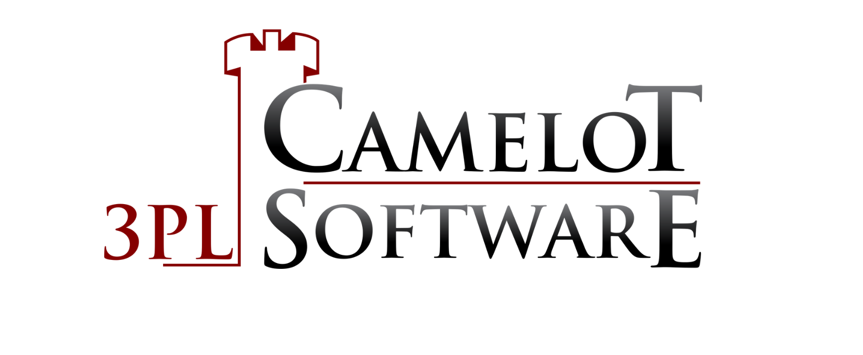 Camelot Partner logo